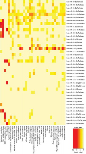 Figure 4. The results of pathway enrichment analysis on the top 40 most abundant miRNAs found in extracellular vesicles (EVs) derived from human neural stem cell-derived extracellular vesicles (hNSC-EVs). The figure shows the heatmap for the top 40 miRNAs in EVs versus KEGG pathways. The heatmap was calculated based on p values and the colour gradient depicts the significance of the interaction between miRNAs and pathways, where red squares mean the lowest p value and light-yellow squares imply a non-significant p value.