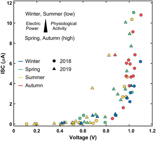 Figure 5. Relationship between the mean voltage and ISC of all trees for the long-term campaign