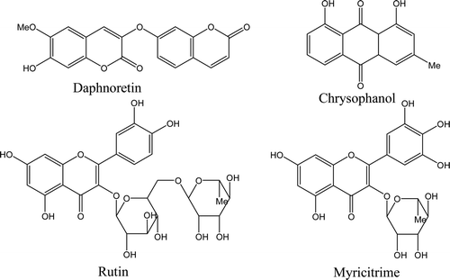 Figure 1.  Chemical structures of the compounds isolated from W. indica. Daphnoretin and chrysophanol were both isolated from the ethyl acetate (EtOAc) fraction by using silica gel column and recrystallization techniques. Rutin and myricitrime were got from the n-butanol fraction, silica gel column, and sephadex-LH 20 chromatograph were used.