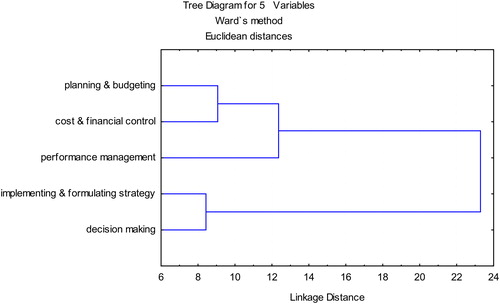 Graph 5. A dendrogram on managers’ perception of M.A.I.S. use for the performance of management activities. Source: Authors.