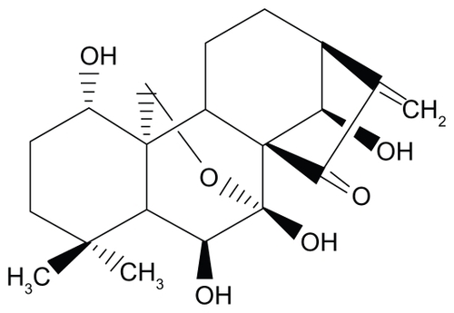 Figure 1 Molecular structure of oridonin.