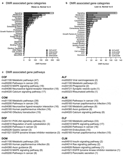 Figure 4. DMR gene association categories and pathways. All DMRs at a p-value threshold of <1e-05 are shown. (a) Obese versus normal DMR associated gene categories. (b) Lean versus normal DMR associated gene categories. (c) DMR associated gene pathways from KEGG.