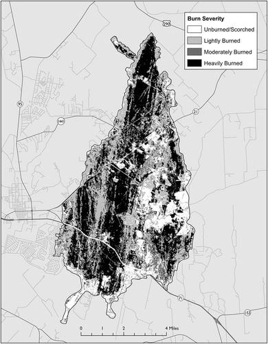 Figure 3. Burn severity map based on pre- and postfire dNBR classification. Heavily burned areas were most prevalent (32.6%), followed by lightly burned (28.5%), moderately burned (22.0%), and unburned/scorched areas (16.9%).