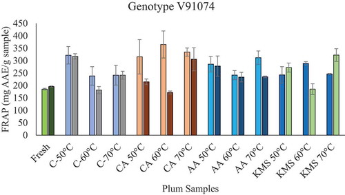 Figure 8. FRAP activity for treated and untreated Genotype V91074 and V95141 dried at 50°C, 60°C, and 70°C