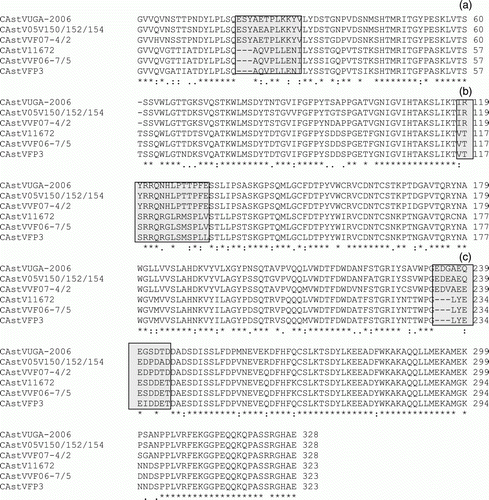 Figure 4.  Clustal W alignment of C-terminal amino acid (residues 416 to end) regions of the capsid proteins of six representative group B CAstVs. The 11672, FP3 and VF06-7/5 belong to subgroup BI, and the UGA-2006, 05V150/152/154 and VF07-4/2 belong to subgroup Bii. Three examples of variable regions, corresponding to residues (4a) 434 to 442, (4b) 531 to 545 and (4c) 647 to 655 of the 11672 capsid protein, are shown. Asterisks denote amino acids shared by all six representative CAstVs, while full stops and colons denote amino acids with shared characteristics.