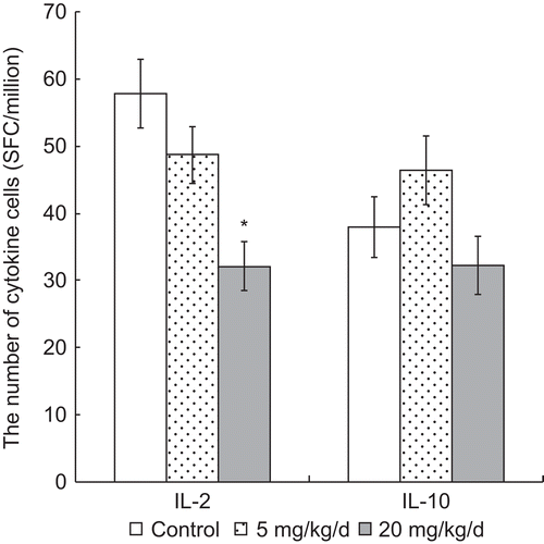 Figure 4.  Numbers of T-cells secreting IL-2 (IL-2+) and IL-10 (IL-10+) among the splenocytes harvested from mice 24 h after the last of their 7 days of treatment, i.e., daily oral exposures to PFOS. Data are presented as mean (± SE) of ELISPOT results. When significant differences were detected by the F-test (p < 0.05), a Dunnett’s t-test was used to compare treatment groups to the control. *Significantly different from control (p ≤ 0.05). n = 12 in each group.