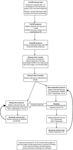 Figure 1 A suggested approach to management of erectile dysfunction in the context of a radical prostatectomy.