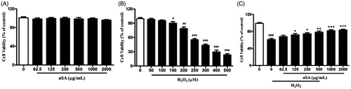 Figure 2. Effects of nSA on cell viability of H2O2-induced cell death in HLE cells. (A) HLE cells were incubated with different concentrations of nSA (62.5–2000 μg/mL) for 24 h. (B) HLE cells were incubated with different concentrations of H2O2 (50–500 μM) for 24 h. (C) HLE cells were preincubated with nSA (62.5–2000 μg/mL) for 2 h before the treatment with 250 μM H2O2 for 24 h. Cell viability was assessed by MTT assay. Data were expressed as mean ± SEM and were obtained from three independent experiments. ###p < 0.001, compared with the untreated control group; *p <0.05, **p <0.01 and ***p <0.001, compared with the H2O2-treated group.
