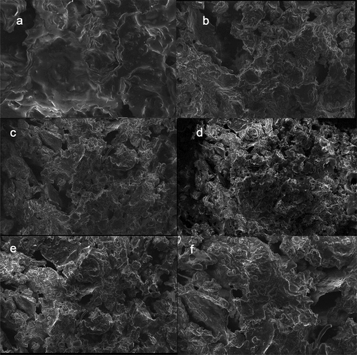Figure 7. Scanning electron microscopy (SEM) images of the freeze-dried pineapple snack containing optimum component concentrations a) 10 µm, b) 50 µm, c) 200 µm, d) 300 µm, e) 200 µm (another field of view), and F) 300 µm (another field of view).