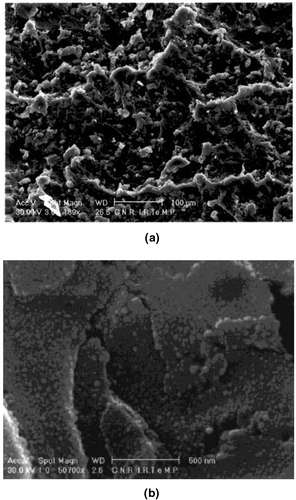 Figure 1. (a) SEM micrograph for neat PMMA polymer fractured surface. (b) SEM micrograph for PMMA/CaCO3 nanocomposite fractured surface.