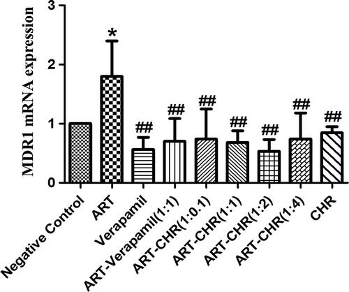 Figure 4. The expression of MDR1 mRNA in small intestine. MDR1 mRNA levels were determined by real-time qPCR after seven days oral xenobiotic pre-exposure in ICR mice. 0.5% CMC-Na was used as negative control and verapamil as positive control. All values were expressed as the mean ± SD (n = 6) for each group. *p < 0.05 compared with negative control. #p < 0.05, and ##p < 0.01 versus ART alone.