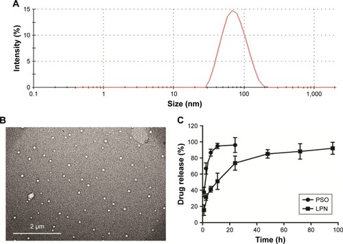 Figure 1 Physicochemical characterization of the P-LPNs.Notes: (A) Particle size distribution of P-LPNs was measured by dynamic light scattering spectroscopy. (B) TEM imaging of the P-LPNs. (C) In vitro drug release profiles of free PSO and P-LPNs in PBS (0.01 M, pH 7.4) containing 0.5% (w/v) Tween-80.Abbreviations: P-LPN, PSO-loaded lipid-polymer hybrid nanoparticle; PSO, psoralen; TEM, transmission electron microscopy.