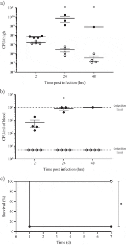 Figure 1. Role of OmpR in A. baumannii virulence assessed in thigh and septicaemia mouse infection models.