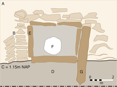 Fig 8 Domburg-Schuitvlotstraat: Schematic representation of ZAD1320–1: WNW facing profile showing deliberately placed timber posts and sods. (A) Rampart make-up. (B) Sods. (C) Top of foundation layer for construction rampart. (D) Dune sand mixed with clay and sods (same as Fig 6G). (E) Coffin of ZAD1320–1. (F) Skull of ZAD1320–1. (G) Wooden post. Drawing by Letty ten Harkel, based on field drawing ROB 1995–00509 held in the ZAD and subsequent re-interpretations after the Singel excavations.
