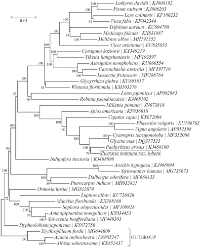 Figure 1. Phylogeny of 38 species within the subfamily Papilionoideae based on the neighbor-joining (NJ) analysis of the concatenated chloroplast protein-coding sequences. Three species within the subfamily Caesalpinioideae were included as outgroup taxa. The position of Pueraria montana var. lobate (GenBank accession number: MK820065) is shown in a box.