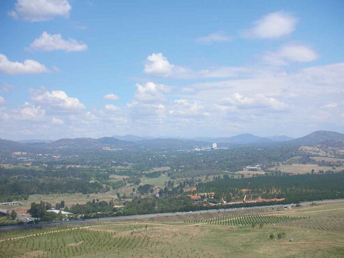 Figure 1. The Woden Valley area of Canberra showing suburbs hidden by trees surrounded by wooded hills (Photo: Ian Douglas)
