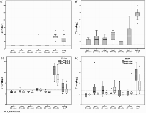 Figure 4. Box plot presentation of antibody titres (log2) from breeder flocks obtained by (a) FAdV-1 VN test, (b) FAdV-4 VN test, (c) FAdV-1 fib-1 and FAdV-1 fib-2 ELISA and (d) FAdV-4 fib-1 and FAdV-4 fib-2 ELISA. VN titres > 3 log2 and ELISA titres > 6.76 log2 (FAdV-1 fib-1), > 6.69 log2 (FAdV-1 fib-2), > 5.96 log2 (FAdV-4 fib-1), >6.57 log2 (FAdV-4 fib-2) are considered positive. Horizontal lines represent the cut-off values for the VN test (4(a–b), dotted lines), the FAdV-1 fib-1 ELISA (4(c), dotted line) and FAdV-1 fib-2 ELISA (4(c), continuous line) as well as for the FAdV-4 fib-1 ELISA (4(d), continuous line) and FAdV-4 fib-2 ELISA (4(d), dotted line).