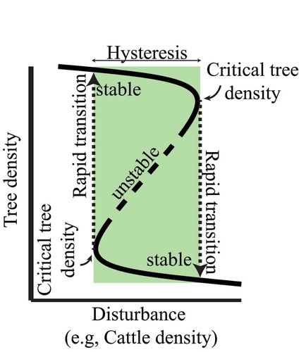 Figure 3. Depicts the proposed relationship between cattle density (a particular ‘disturbance’) and tree density as a multivalued dynamic. The rectangle indicates the zone of hysteresis. In the zone of hysteresis multiple equilibriums (or values for tree density) are possible: 1) stable equilibrium at high tree density, 2) stable equilibrium at low tree density, and 3) unstable equilibrium at intermediate tree densities. When critical tree densities are reached, the system rapidly transitions into a new stable tree density state.