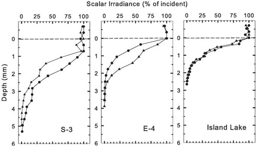 FIGURE 3. Depth profiles for photon scalar irradiance in surficial sediments of duplicate cores from each study lake. Data are normalized to photon scalar irradiance at the sediment surface and each profile represents the mean of three series of measurements. The dashed line marks the sediment-water boundary.