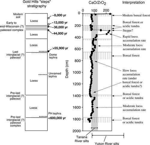 FIGURE 13 Plot of CaO/ZrO2 for the Gold Hill loess section (taken from Fig. 8) and the ranges of CaO/ZrO2 for the loess source sediments (silt fractions of the Tanana River and Yukon River). Also shown are inferred vegetation types during periods of soil formation and inferred rates of sedimentation during periods of loess accumulation.