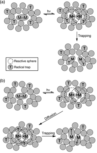 Figure 4.  Illustration of the reaction of photogenerated metal radicals with trapping atoms in a solid-state matrix. In case (a) there is a trap in the reactive sphere of the metal radical and (b) the trap is initially outside of the reactive sphere.