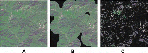 3. Detection results when applying the traditional models to high-spatial-resolution images. A. Original image. B. Detection result using the Itti et al.’s model. C. Detection result using the Achana method. The disk-shaped detected regions make it difficult to obtain accurate detection results with the Itti et al. model. The Achanta model regarded some unexpected regions as ROIs.