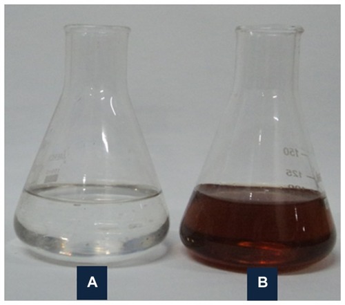 Figure 1 Solution of 1 mM AgNO3 (A) before and (B) after bioreduction by Dioscorea bulbifera tuber extract at 40°C.
