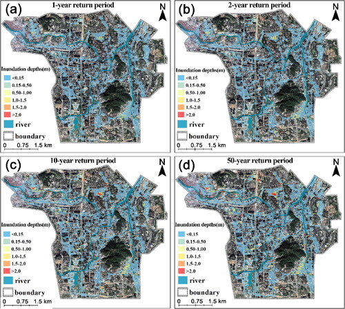 Figure 4. Maximum inundation extents and depths in the cases of (a) 1-year, (b) 2-year, (c) 10-year, and (d) 50-year return period pluvial floods.