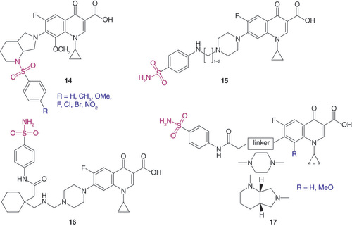 Figure 4. Fluoroquinolone–sulfonamide conjugates.