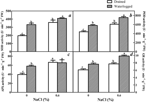 Figure 9. Effects of salinity, waterlogging, and NaCl plus waterlogging co-stress on antioxidant enzyme activities. (a) SOD activity was determined by the nitrogen blue tetrazolium photoreduction method, (b) POD activity was determined by the guaiacol method, (c) APX activity was determined by ultraviolet absorption method, (d) GR activity was determined by monitoring the glutathione-dependent oxidation of NADPH at 340 nm. Values are means ± SD (n = 5). Expanded leaves of E. angustifolia seedlings were used. Mean values with different lowercase letters are significantly different at P ≤ 0.05 according to Duncan′s multiple range test.