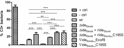 Figure 6. IgM cleavage activity by rIdeSsuis leads to reduction of C3 antigen on the bacterial surface. S. suis strain 10 (wt), 10∆ideSsuis (∆ideSsuis), 10∆ideSsuis∇ideSsuis_EcoRI (∇ideSsuis_EcoRI), 10∆ideSsuis∇ideSsuis_C195S (∇ideSsuis_C195S) were incubated in a 1:2 diluted IgG depleted porcine anti-S. suis serotype 2 hyperimmune serum. After incubation at 37°C, bacteria were stained with a FITC-labeled rabbit anti-human C3c antibody and measured by flow cytometry. S. suis strain 10 incubated in undiluted serum served as positive control (+ ctrl). S. suis strain 10 incubated with heat-inactivated serum served as negative control (- ctrl). Bars and error bars represent mean and standard deviation. Significant differences are indicated by asterisks. Probabilities were considered as follows p < 0.05 *, p < 0.01 **, p < 0.001 ***.