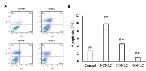 Figure 3 Apoptosis experiment of NLCs.