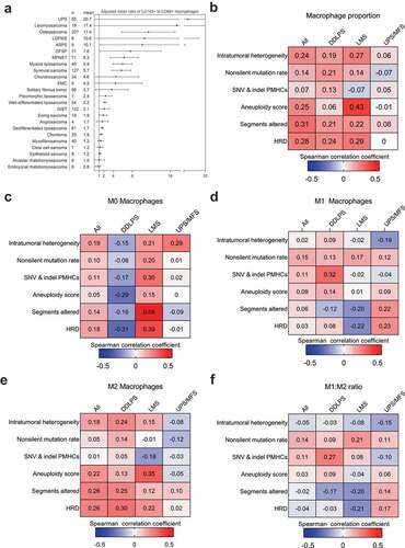 Figure 3. Macrophage polarization in sarcomas. (a) Adjusted mean ratio of CD163/CD68, based on counts of positive-staining immune cells per mm2 tumor tissue, scored from tissue microarray cores. Error bars represent 95% confidence interval of the mean. In order to avoid dividing by zero, all values were adjusted by adding 1/mm2 prior to calculating ratio. (b-f) Heatmaps display Spearman rank correlation coefficients for pleomorphic sarcoma types between indicated macrophage signatures (calculated as proportion of total immune infiltrate) and DNA damage measures calculated by Thorsson et al. (2018). Underlined values indicate statistically significant correlations (p ≤ 0.05). (b) Degree of association between relative macrophage proportion of immune infiltrates and measures of DNA damage. (c-e) Association between macrophage subsets, M0, M1, M2 with DNA damage. (f) Correlation between M1:M2 ratio and DNA damage measures. Abbreviations: ASPS, alveolar soft part sarcoma, DDLPS, dedifferentiated liposarcoma; DFSP, dermatofibrosarcoma protuberans; EMC, extraskeletal myxoid chondrosarcoma; GIST, gastrointestinal stromal tumor; HRD, homologous recombination deficiency; LMS, leiomyosarcoma; MFS, myxofibrosarcoma; MPNST, malignant peripheral nerve sheath tumor; SNV & indel pMHCs, predicted neoantigens resulting from single nucleotide and insertion/deletion mutations; UPS, undifferentiated pleomorphic sarcoma