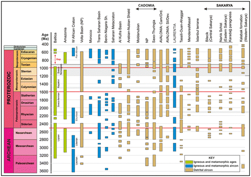 Figure 12. Detrital zircon age distributions of the analysed micaschist sample of the Kalabak formation (this study) and comparison with Avalonia, Cadomia, and other parts of Gondwana and potential source areas (data compilation from Linnemann et al., Citation2004; Ustaömer, Robertson, et al., Citation2012; and references therein).