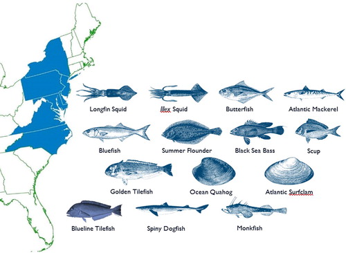 Figure 1. The Mid-Atlantic Fishery Management Council area of management jurisdiction (3–200 nautical miles offshore) and the 14 directly managed species covered under 7 different Fishery Management Plans (FMPs). Spiny dogfish and monkfish are jointly managed with the New England Fishery Management Council with the Mid-Atlantic as the lead for spiny dogfish and New England for monkfish.