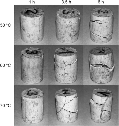 Figure 4. Defects observed in solvent debound specimens at different times and temperatures for feedstock A.