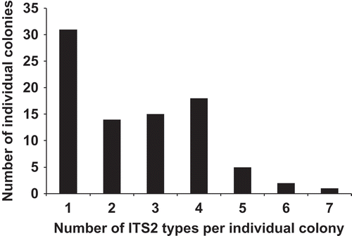 Fig. 21. Histogram of the number of ITS2 types per individual colony. The ITS2 types that could not be tied to rbcL-3P genetic species group were not included in the analysis, as discussed in the text.