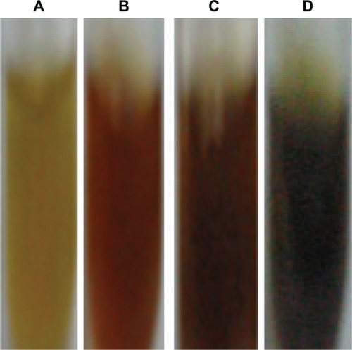Figure 1 Optical photograph of the colloidal solution of silver nanoparticles reduced by Memecylon edule leaf extract at (5, 10 and 15 mL). Color change occurred due to surface plasmon resonance (A) M. edule leaf extract (B) 5 ml of extract with Ag+ solution (C) 10 mL of extract with Ag+ solution (D) 15 mL of extract with Ag+solution after the process of Ag+ to Ag nanoparticles.Abbreviations: AgNPs, silver nannoparticles; SPR, surface plasmon resonance.