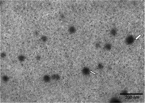 Figure S2 Transmission electron microscopy image of emulsified n-butylidenephthalide (Bdph) formulation BN-F. The white arrows indicate the double layer structure of the BN-F formulation.