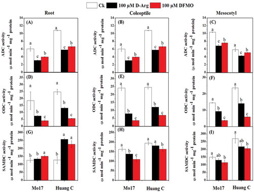 Figure 2. Effects of D-Arg and DFMO on ADC activity (a-c), ODC activity (d-f) and SAMDC activity (g-i) in the root, coleoptiles and mesocotyls of two maize inbred lines under chilling stress