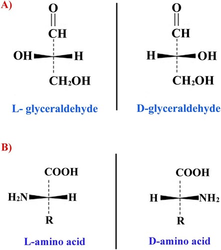Figure 1. Fischer projection formulae for reference glyceraldehydes (A) and amino acids (B).