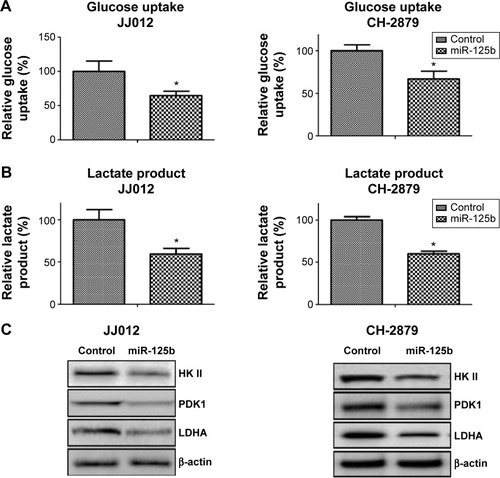 Figure 4 Overexpression of miR-125b in chondrosarcoma cells downregulates glucose metabolism.