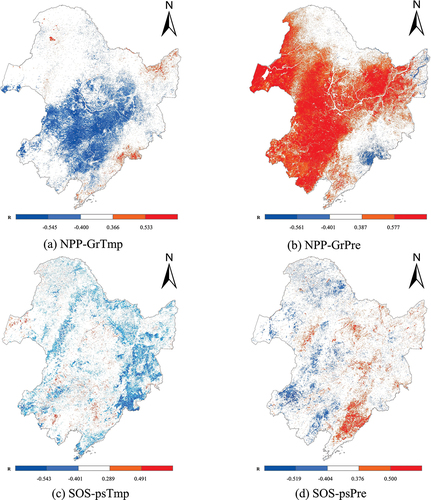 Figure 8. The partial correlations between vegetation and Climate variables.