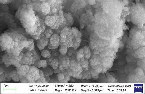 Figure 4. Detailed SEM image of the embedded thin film.