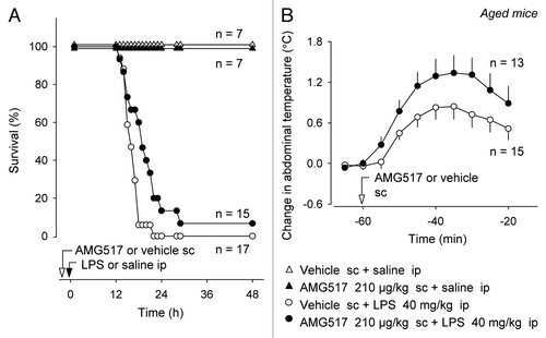 Figure 2 Systemic pretreatment with AMG517 (dose indicated) increases survival of aged mice in LPS-induced SIRS (A). Confirming an effective blockade of TRPV1 channels, the AMG517 pretreatment increases deep Tb in aged mice (B).