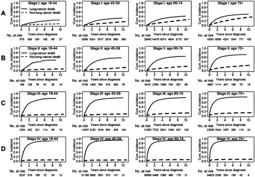 Figure S1 Crude mortality from cancer and noncancer causes by age group for patients with stage I (A), stage II (B), stage III (C), and stage IV (D) non-small cell lung cancer. Cumulative incidence of lung-cancer deaths (LC-CID) and cumulative incidence of nonlung-cancer deaths (non-LC-CID) were generated using a competing risk approach. Overall, LC-CID increased with advancing age and stage; similarly, non-LC-CID increased with advancing age and stage. Even though the total number of deaths increased with age, the proportion of deaths attributable to cancer in the older age group decreased because of increased competing causes of death.Abbreviation: Cum. incidence, cumulative incidence.