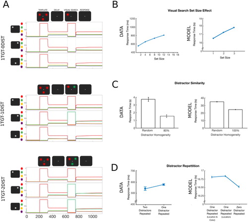 Figure 2. Simulation 1: Visual search set size effect, distractor repetition and distractor similarity. (A) Time course of feature activity traces of a representative trial for the three experimental conditions. Each trial started with a 200 ts inhibition period followed by encoding of the template (120 ts). Following a delay period of 300 ts, visual search display was presented for 120 ts. Responses were recorded over the following response period of 400 ts. A variable number of distractor colours were presented at the two non-target locations (zero- top, one- middle, two- bottom). For visualization, a small vertical shift was added to the feature neuron firing rate traces. (B) The model reproduced the visual search set size effect. Increasing the number of items presented during visual search led to an increase in RTs (set size 1 = zero distractors). Data were reproduced from Wolfe (Citation1994). (C) Search was more efficient for homogeneous compared to heterogeneous distractors. Data were reproduced from Kong et al. (Citation2016). (D) The model, however, did not replicate the distractor repetition effect. In the 1TGT-1DIST condition, repetition in the distractor’s location or its location and colour in addition to the target location did not improve RTs compared to trials in which the distractor changed its location (i.e., zero distractor repeated). Data were reproduced from Kristjánsson and Driver (Citation2008).