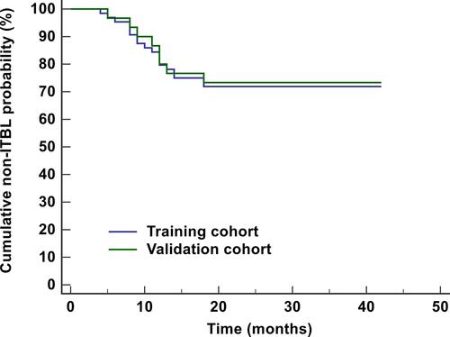 Figure 3 Kaplan–Meier analysis for the incidence of ITBL in the training cohort and validation cohort within 2 years after LDLT. The incidence of ITBL in the training cohort and validation cohort were 28.1% and 26.7%, respectively.