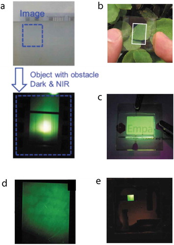 Figure 7. Selected upconversion examples taken from the literature. a) Visible and upconverted image of a metal mask positioned behind turbid water, showing that turbid water is transparent to NIR light. Reproduced with permission from Ref. [Citation26], Copyright 2015 Wiley; b) Photo, and c) emitted green light of a see-through all-organic upconversion device, including a transparent top and bottom electrode. Reproduced with permission from Ref. [Citation25], Copyright 2018 ACS; d) Upconverter image of a human forearm with observable subcutaneous blood vessels. Reproduced with permission from Ref. [Citation28], Copyright 2016 Nature; e) Example image made with a colloidal PbSe nanocrystal photodetector combined with a green-emitting OLED, light at 1300 nm was upconverted. Reproduced with permission from Ref. [Citation44], Copyright 2011 ACS.