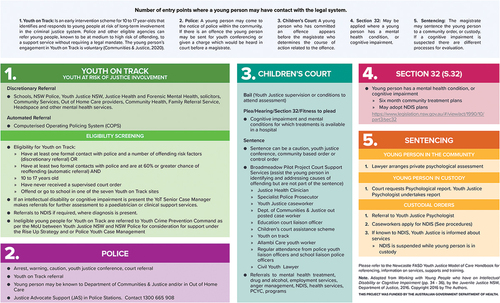 Figure 2. Referral pathway schematic included in the youth justice model of care.